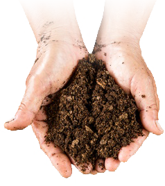 moldovan-soil-3